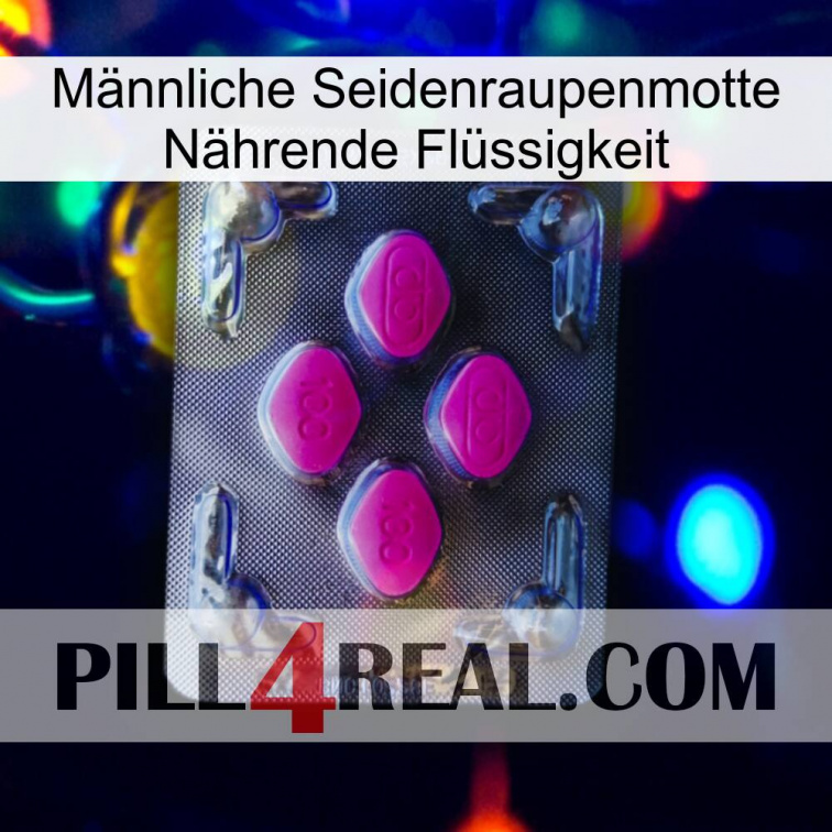 Männliche Seidenraupenmotte Nährende Flüssigkeit 02